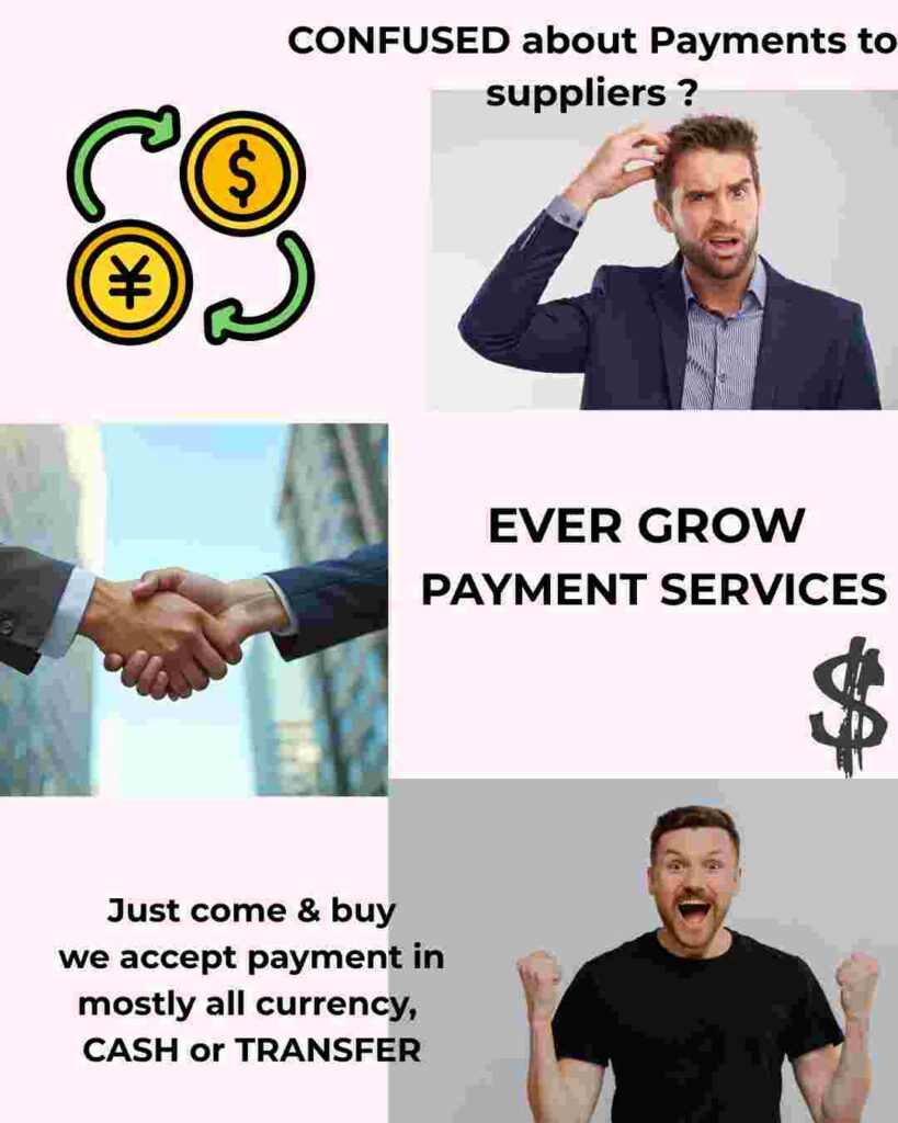 payment service option from ever grow payment services