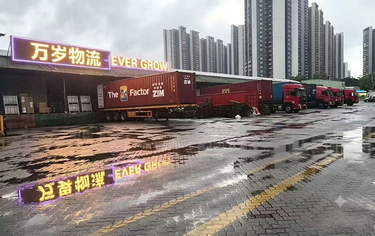 International Logistics